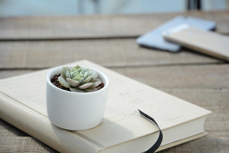 Repurposed Planters